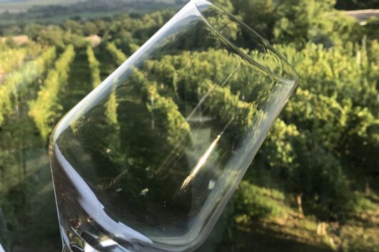 Glass of local wine with Etyek vineyards in the background
