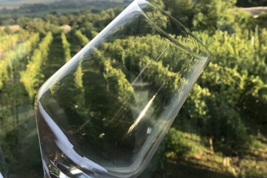 Glass of local wine with Etyek vineyards in the background