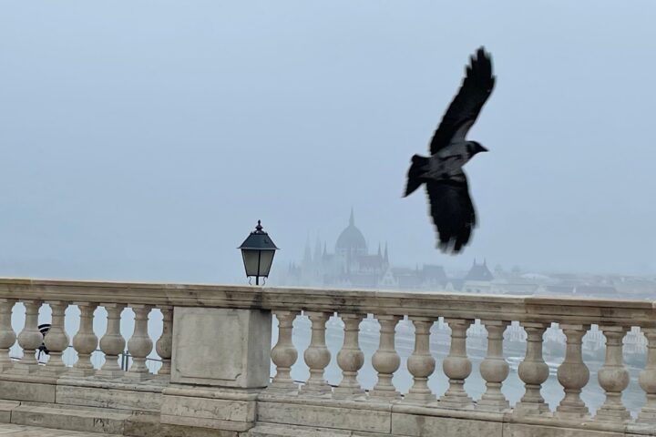 Beautiful Budapest - my favourite pictures