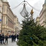 Vienna Christmas Market private tour