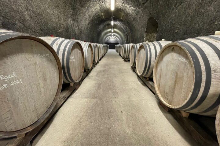 Private Eger region wine tour from Budapest