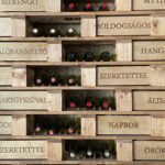 Private Eger region wine tour from Budapest