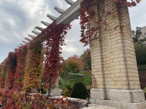 Changing of seasons in the Buda Castle Garden Bazaar