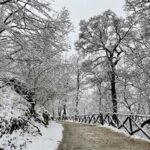 Danube Bend Winter Wonderland