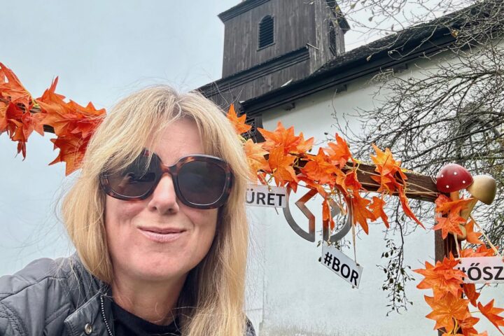 Private day trip from Budapest to Godollo and Holloko