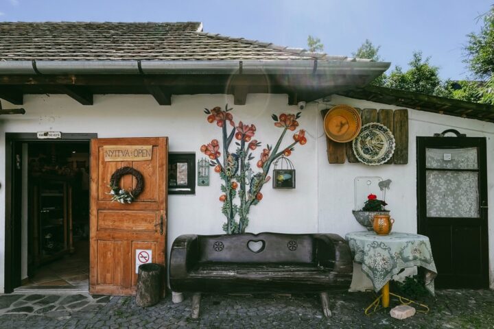 Private day trip from Budapest to Godollo and Holloko